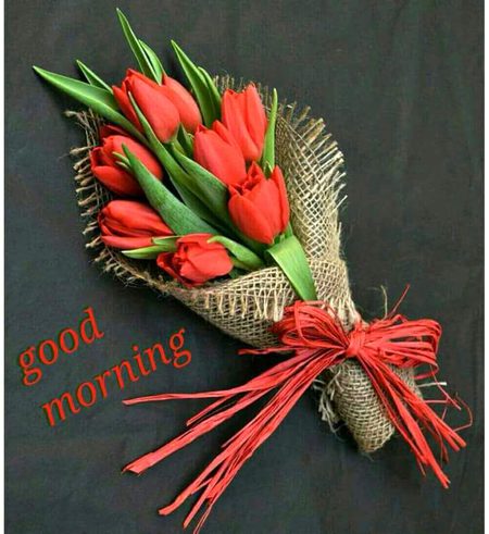 Good morning