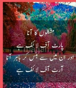 Good night