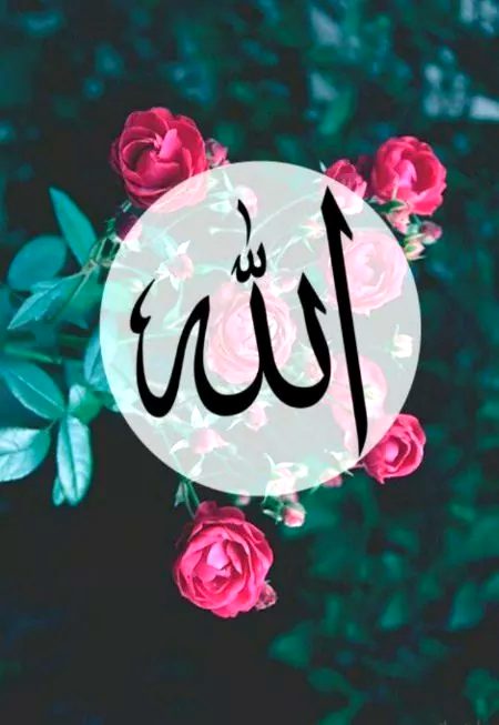 Good night