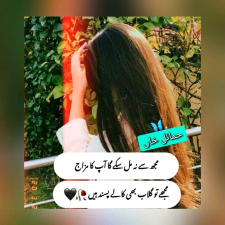 Attitude Poetry image