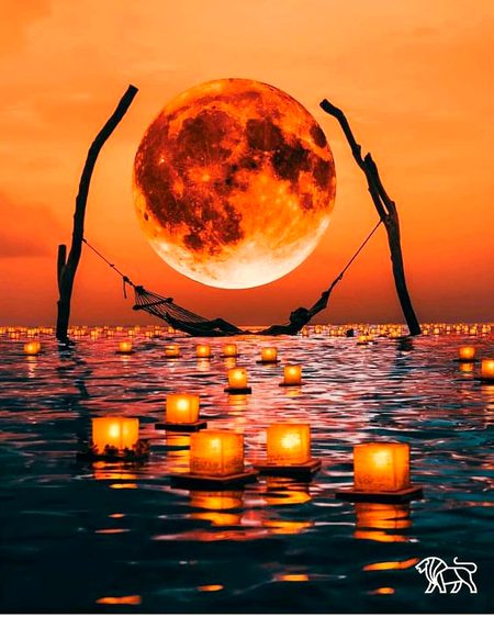 Good night