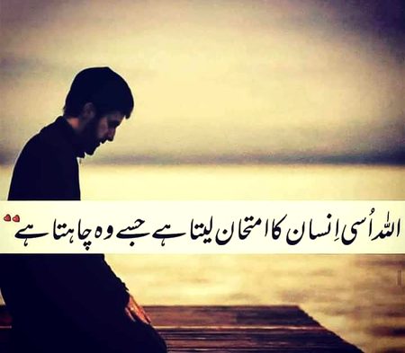 Good night