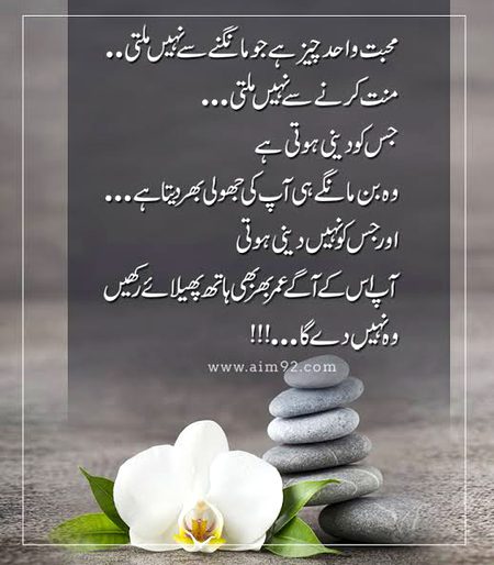 Good night