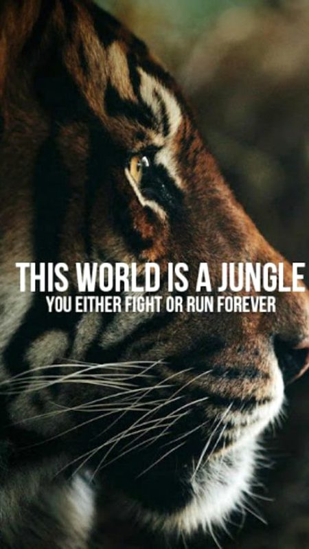 Inspirational quote, success quote, motivational quote, motivation quote