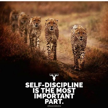 Inspirational quote, success quote, motivational quote, motivation quote
