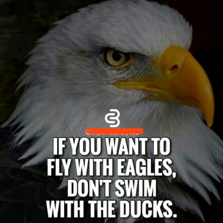 Inspirational quote, success quote, motivational quote, motivation quote