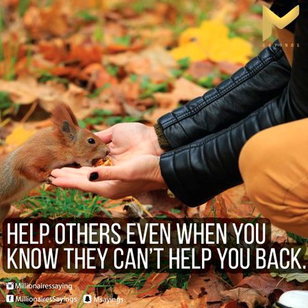 Inspirational quote, success quote, motivational quote, motivation quote