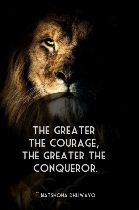 Inspirational quote, success quote, motivational quote, motivation quote