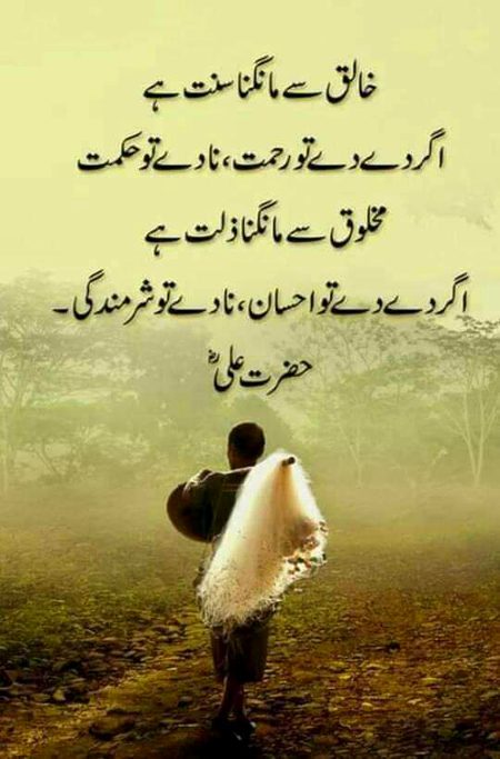 Islamic Quotes image