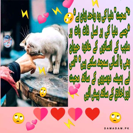 Jumma mubarak