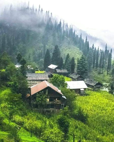 Beautiful Nature image