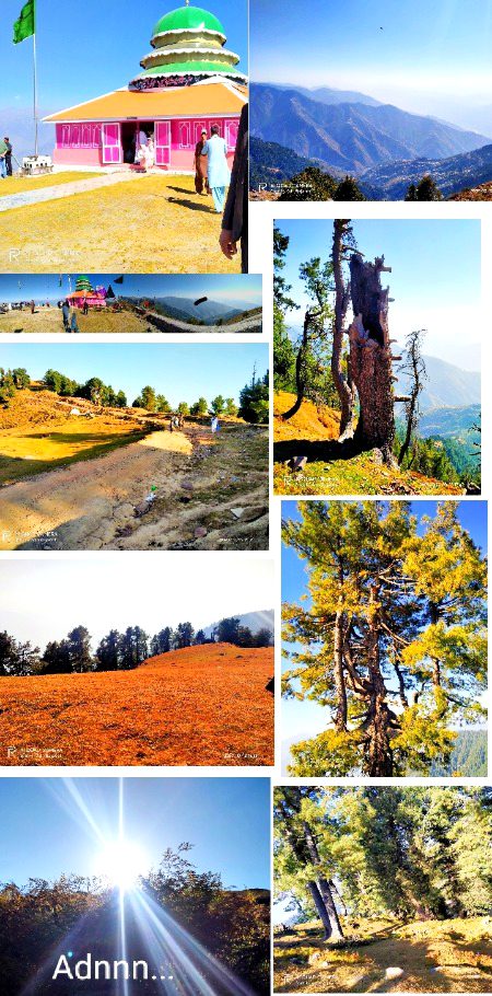 Kashmir