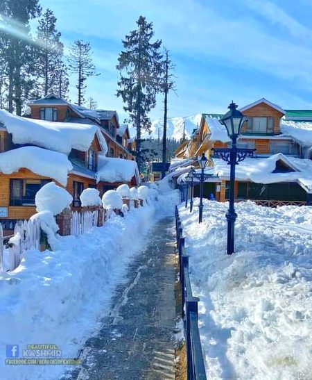 Beautiful Nature image