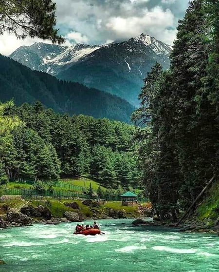 Beautiful Nature image