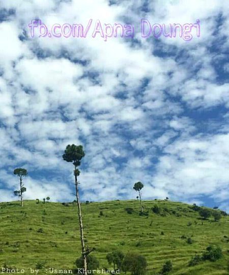 Beautiful Nature image