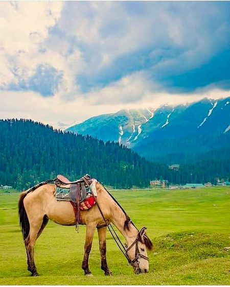 Beautiful Nature image