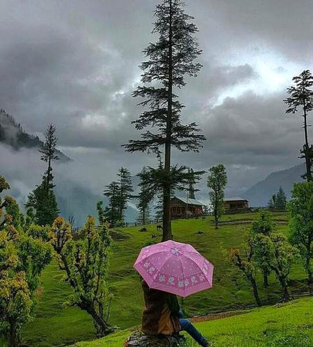 Beautiful Nature image