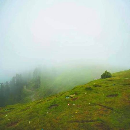 Beautiful Nature image