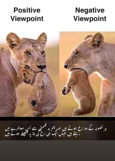 Social media post