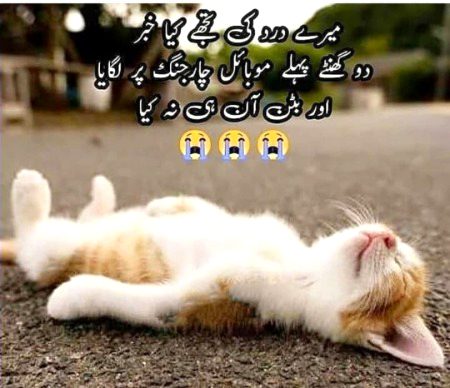 Social media post
