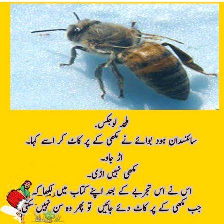 Social media post
