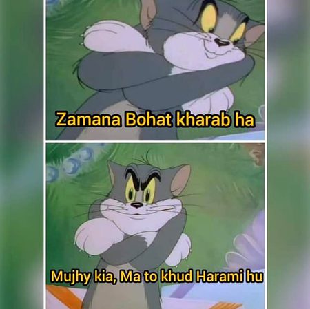 Memes & Satire image