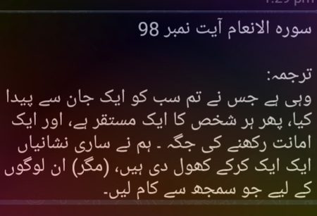 Islamic Quotes image