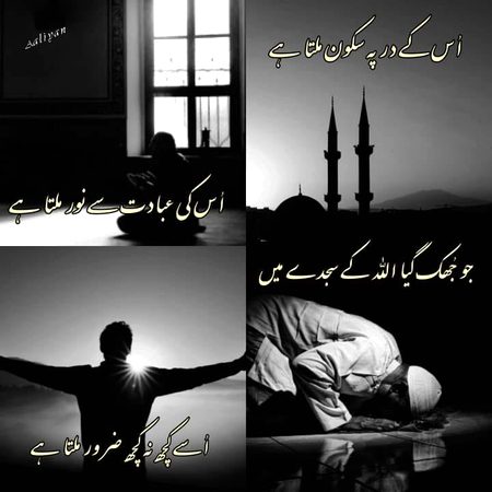 Islamic Quotes image