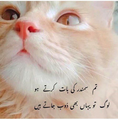 Social media post