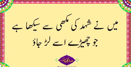 Social media post