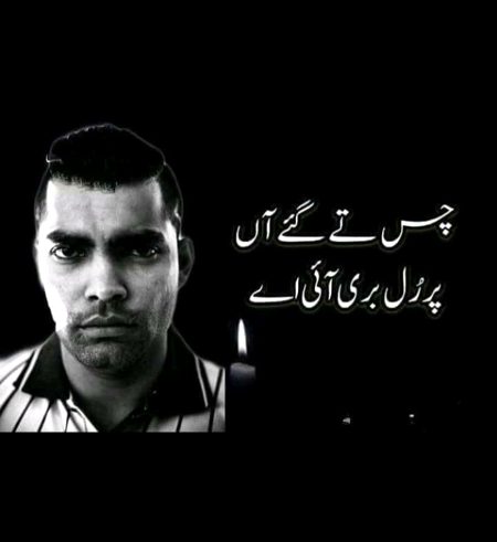 Memes & Satire image