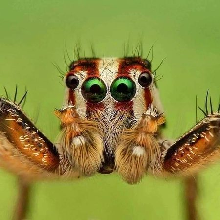 Beautiful Nature image