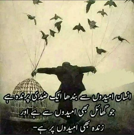 Social media post