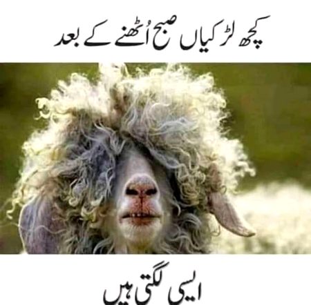 Social media post