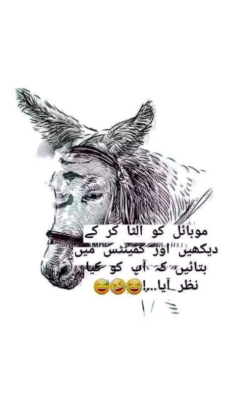 Memes & Satire image