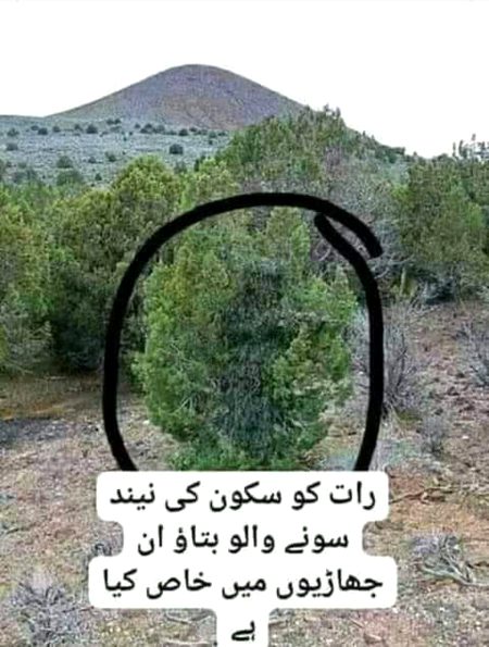 Social media post