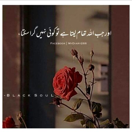 Social media post