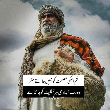 Islamic Quotes image