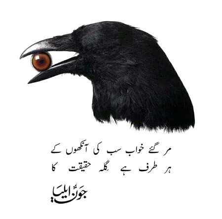 Sad Poetry image