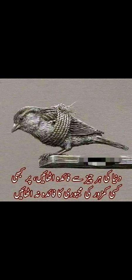 Social media post