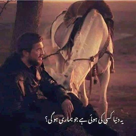 Social media post
