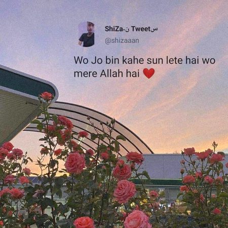 Social media post