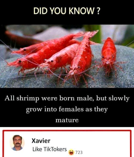 Memes & Satire image