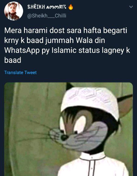 Memes & Satire image