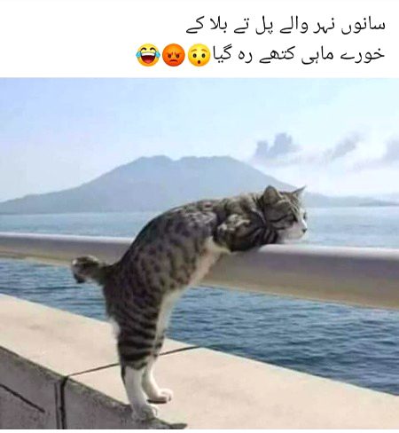Social media post