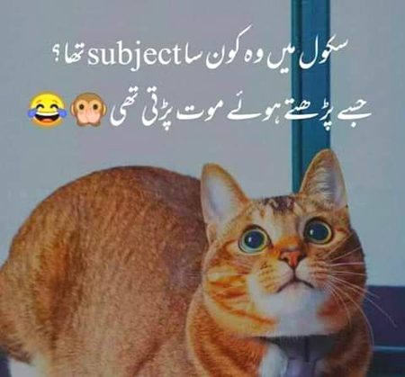 Social media post