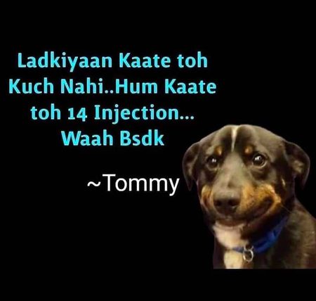 Memes & Satire image