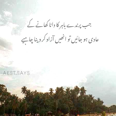 Social media post