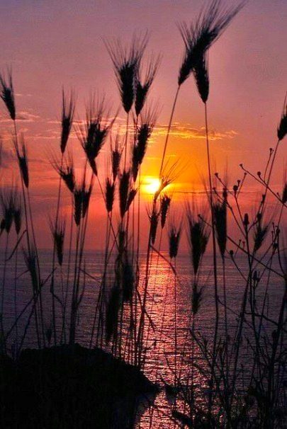 Beautiful Nature image