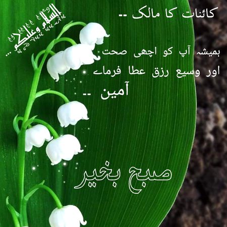 Subha bakhair